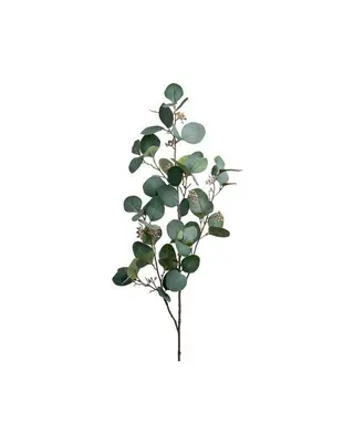 Produktfoto för Eucalyptus snittblomma grön