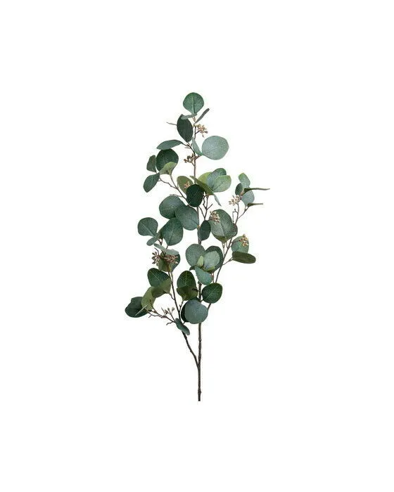 Bild 1 för Eucalyptus snittblomma grön