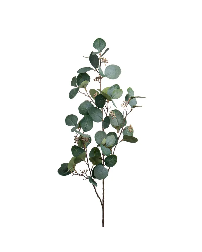 Bild 2 för Eucalyptus snittblomma grön