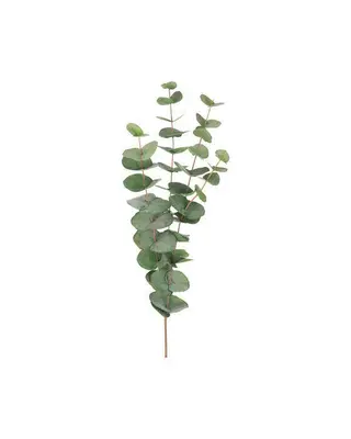Produktfoto för Eucalyptus snittblomma grön