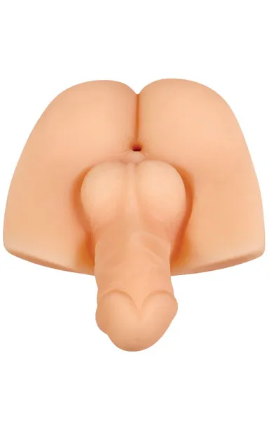 Bild 2 för Evolved Gender X Backdoor Bash Masturbator anal
