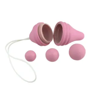 Produktfoto för Femintimate Pelvix Pelvic Floor Rehabilitation