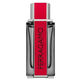 Produktfoto för Ferragamo Red Leather Eau de Parfum - 100 ml