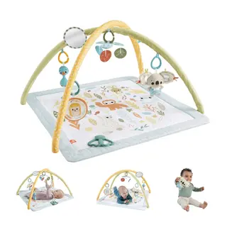 Produktfoto för Fisher-Price Sensimals Simply Senses Babygym