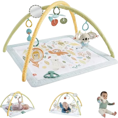 Bild 2 för Fisher-Price Sensimals Simply Senses Babygym