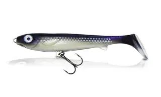 Produktfoto för Flatnose Shad Jr 15 cm 2-pack med rigg