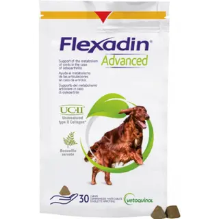 Produktfoto för Flexadin Advanced (60 tbl)