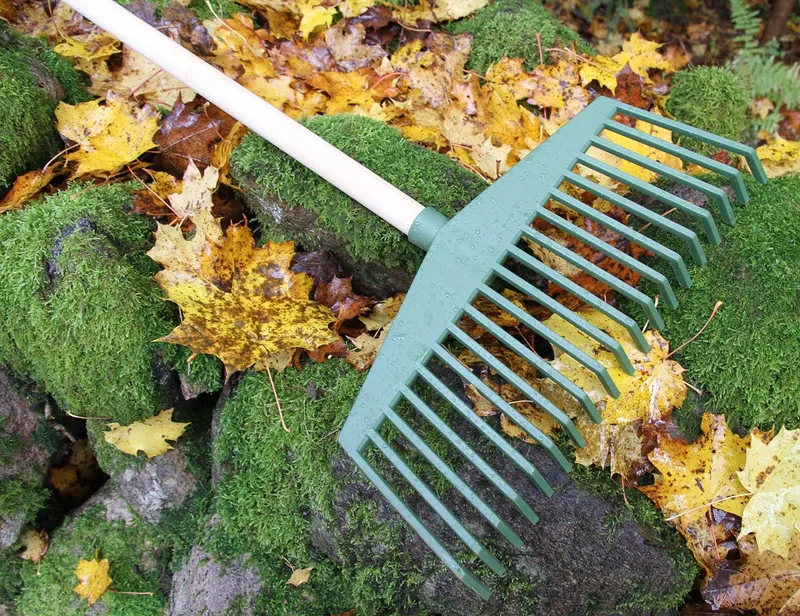 Bild 2 för Flexigarden Räfshuvud Grön (PP)