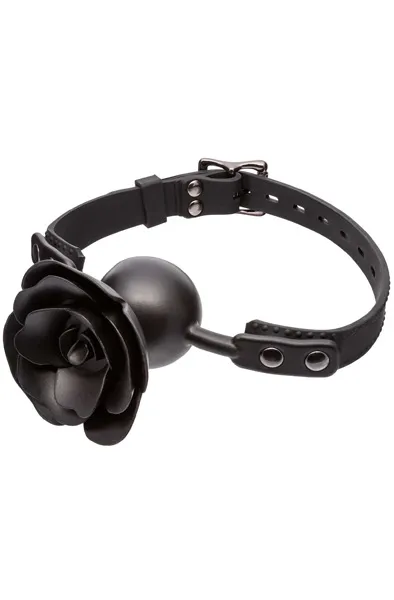 Bild 1 för Forbidden Removable Rose Gag