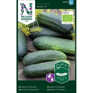 Produktfoto för Frilandsgurka 'Profi' F1, ekologisk
