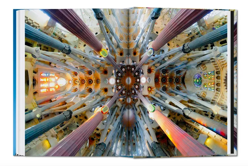 Bild 2 för Gaudi - The Complete Works - 40 series