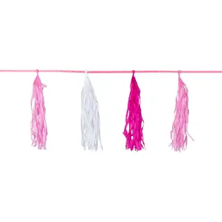 Produktfoto för Girlang Med Tofsar Rosa 3m
