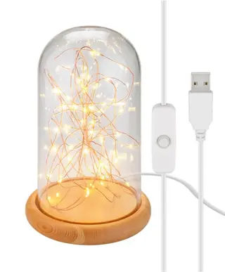 Produktfoto för Glaskåpa med LED ljusslinga