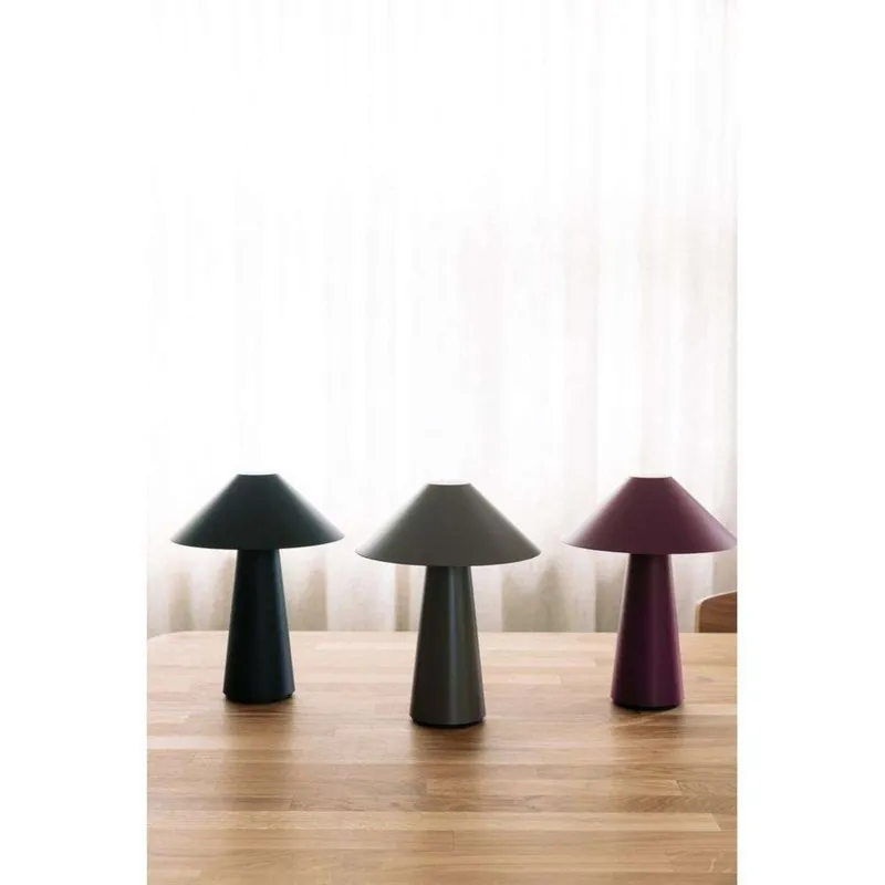 Bild 3 för Globen Lighting - Cannes Portable Bordslampa IP44 Brun