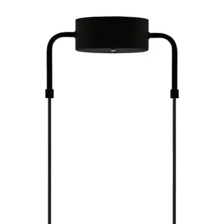 Produktfoto för Globen Lighting - Curve 50 Taklampa Black