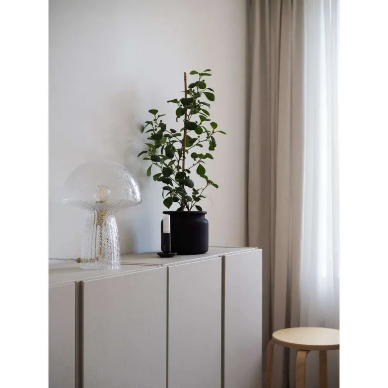 Bild 3 för Globen Lighting - Fungo 22 Bordslampa Special Edition Clear