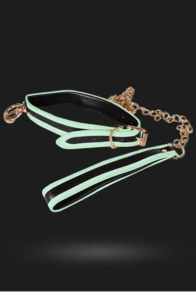 Bild 2 för Glow-in-the-Dark Halsband med Koppel - Vit/Svart/Guld