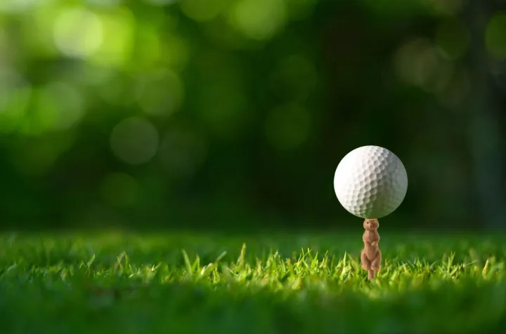 Alternativ bild 0 för Gopher Golf Tee S - 6 pcs