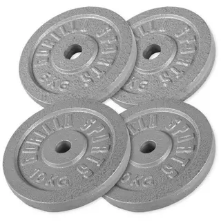 Produktfoto för Gorilla Sports Viktskivor IRON Silver - 2x10kg 2x5kg
