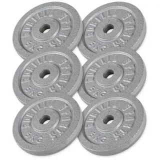 Produktfoto för Gorilla Sports Viktskivor IRON Silver - 6x5kg