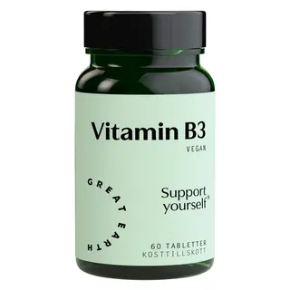 Produktfoto för Great Earth Vitamin B3- 500 mg 60 tabletter