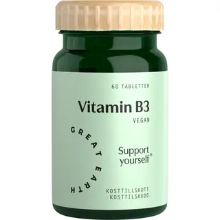 Produktfoto för Great Earth Vitamin B3- 500 mg 60 tabletter