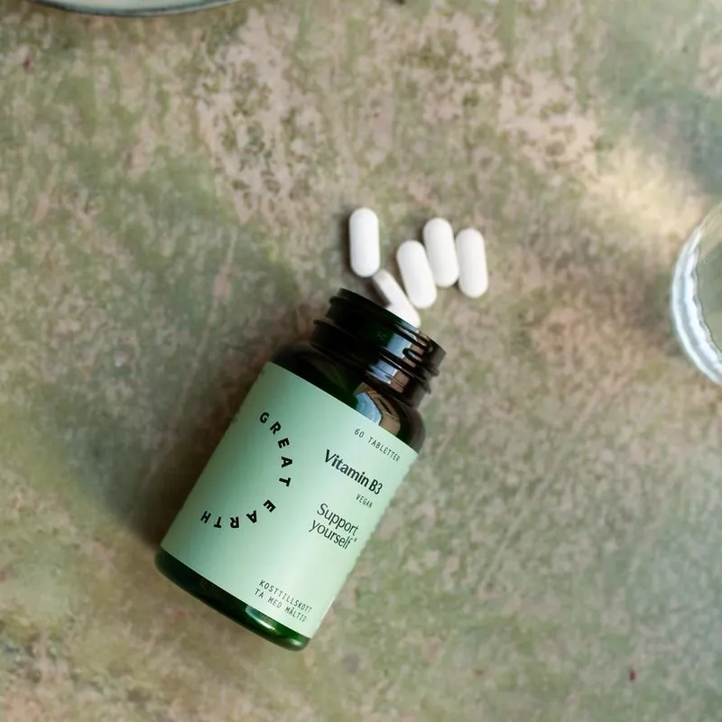 Bild 4 för Great Earth Vitamin B3- 500 mg 60 tabletter