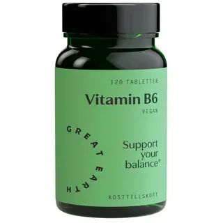 Produktfoto för Great Earth Vitamin B6 120 tabletter