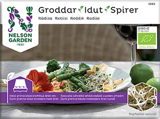 Produktfoto för Groddar Rädisa - Primo Vitamino