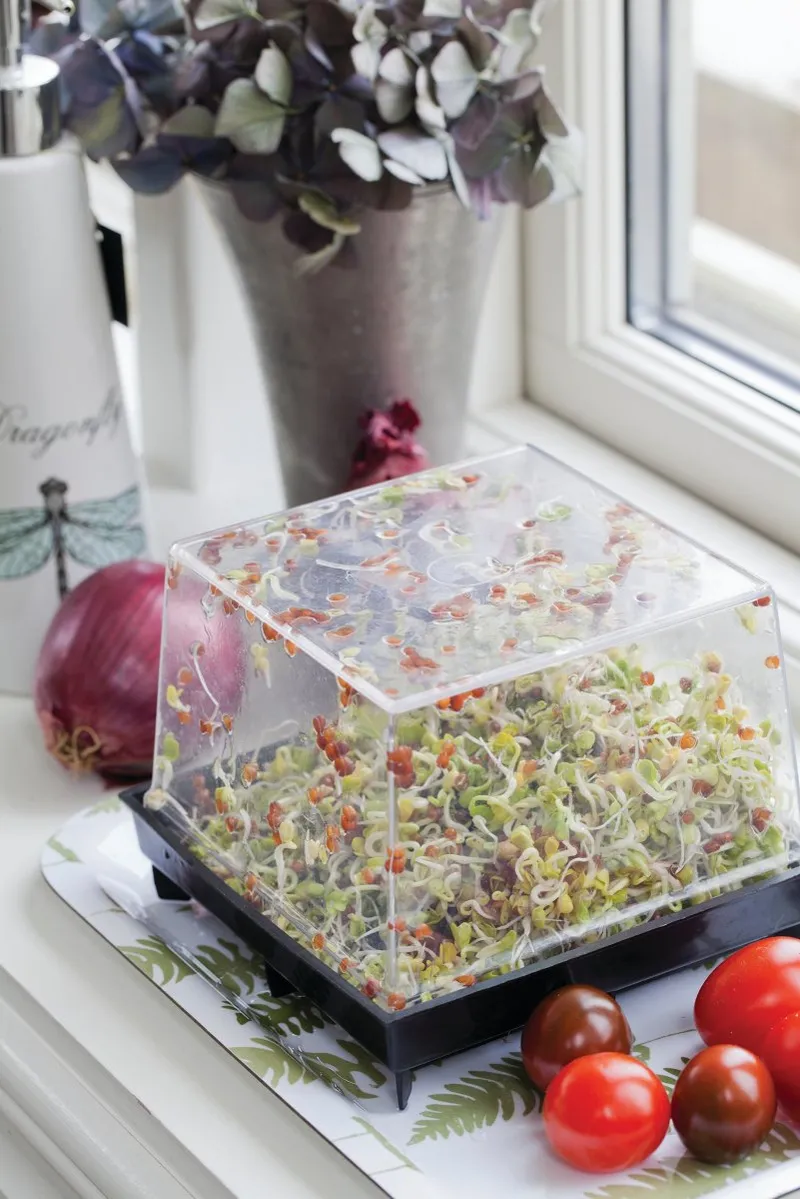 Bild 2 för Groddbox, Primo Vitamino