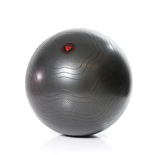 Produktfoto för Gymstick Exercise Ball, 55 cm