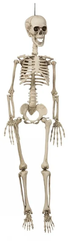 Alternativ bild 0 för Hängande Skelett 90 cm