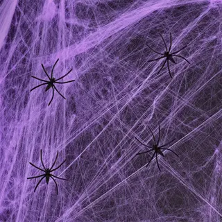 Produktfoto för Halloween Spindelnät Lila 200g