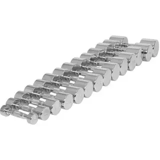 Produktfoto för Hantlar Krom 1-20kg