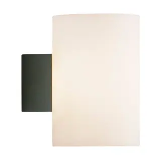 Produktfoto för Herstal - Evoke Vägglampa IP44 Large Anthracite/Opal