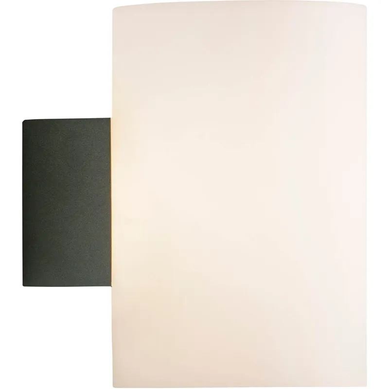 Bild 1 för Herstal - Evoke Vägglampa IP44 Large Anthracite/Opal