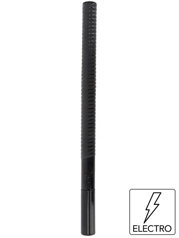 Bild 1 för Hidden Desire Extreme: Electro Baton