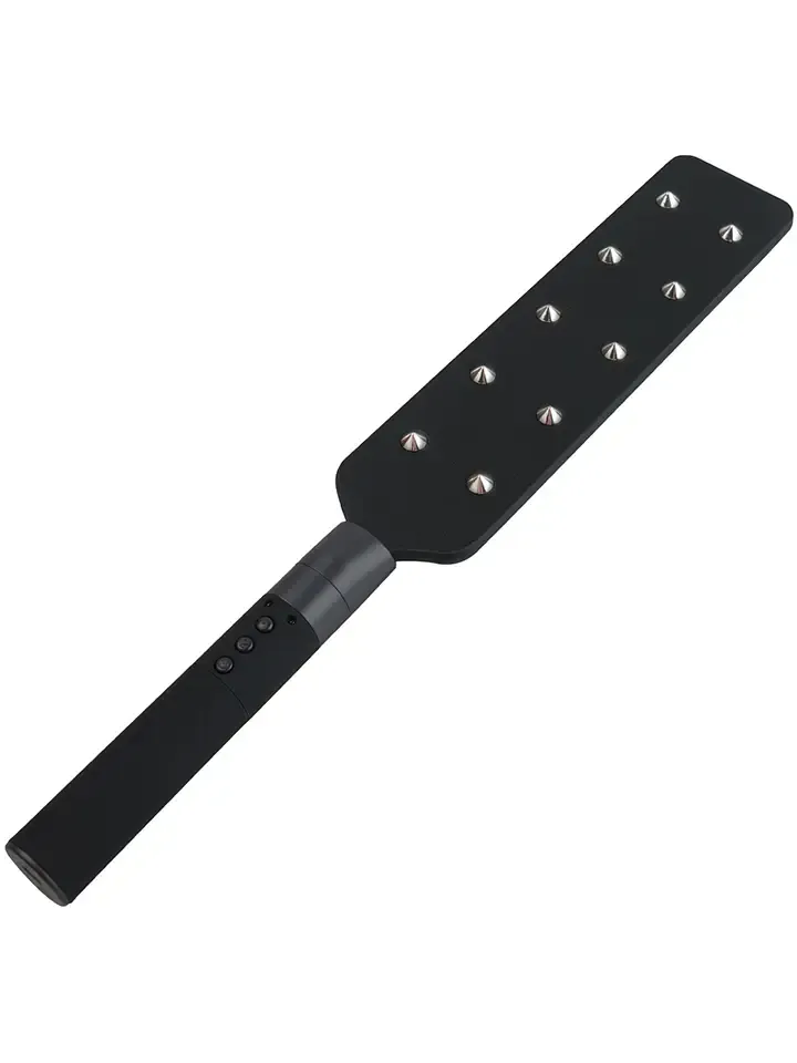 Bild 2 för Hidden Desire Extreme: Electro Paddle