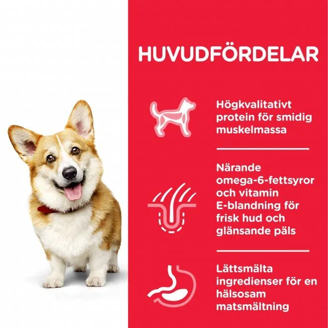 Bild 2 för Hill's Science Plan Dog Adult Small & Mini Chicken (6 kg)