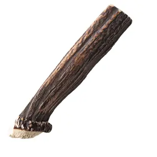 Produktfoto för Hjorthorn Rauh Split Antler L