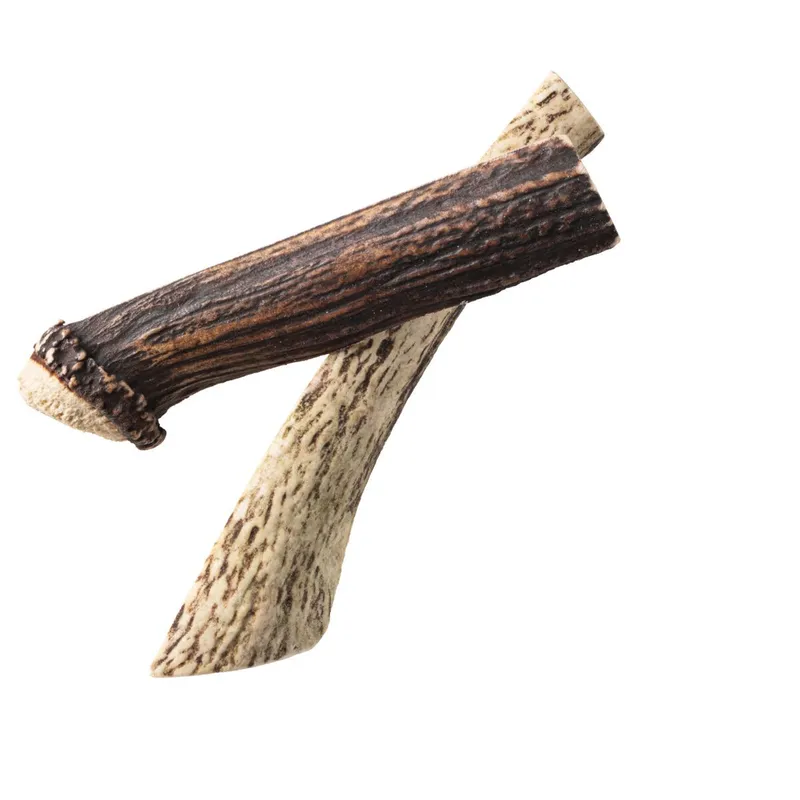 Bild 2 för Hjorthorn Rauh Split Antler L
