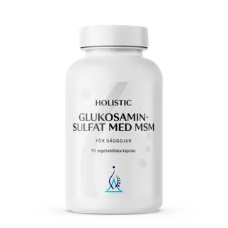 Produktfoto för Holistic Glukosaminsulfat med MSM 90 kapslar