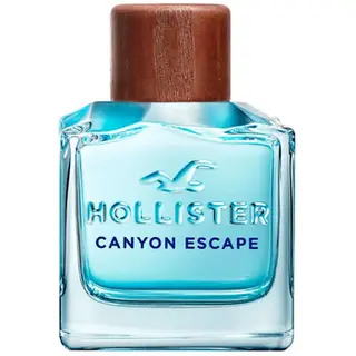 Produktfoto för Hollister Canyon Escape EDT - 100 ml