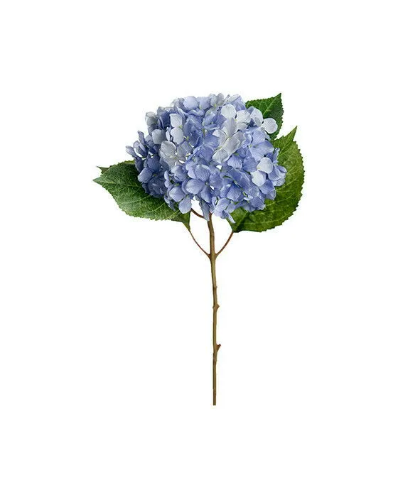 Bild 1 för Hortensia snittblomma ljusblå