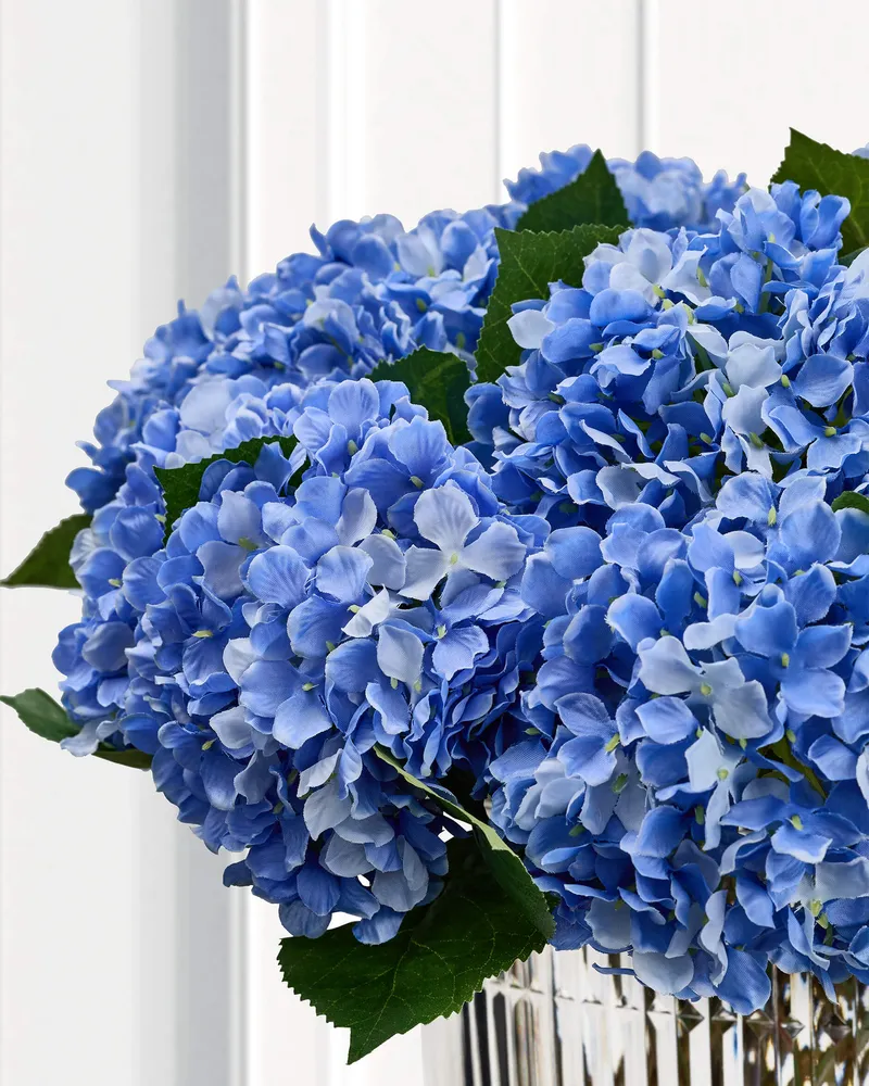 Bild 2 för Hortensia snittblomma ljusblå