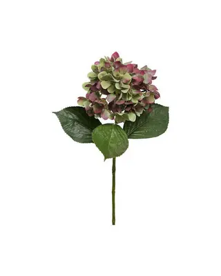 Produktfoto för Hortensia snittblomma vinröd/grön