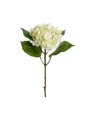 Produktfoto för Hortensia snittblomma vit