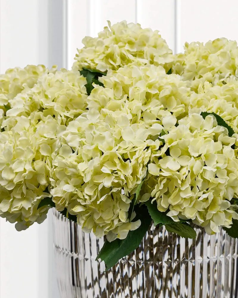 Bild 2 för Hortensia snittblomma vit