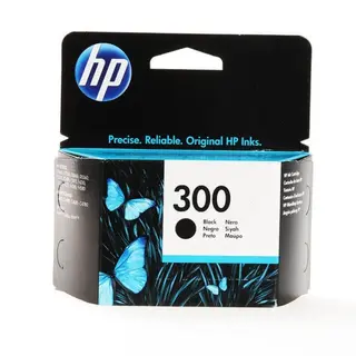 Produktfoto för HP 300 Bläckpatron Svart
