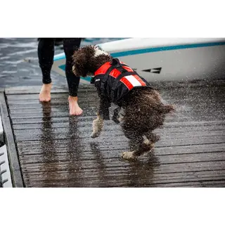 Produktfoto för Hundflytväst Mascot